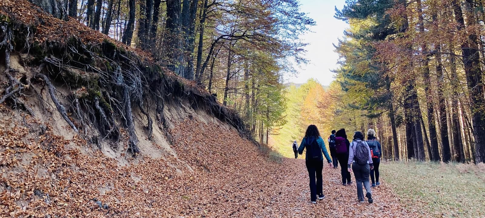 A Spasso con la Natura Calabrese Sila