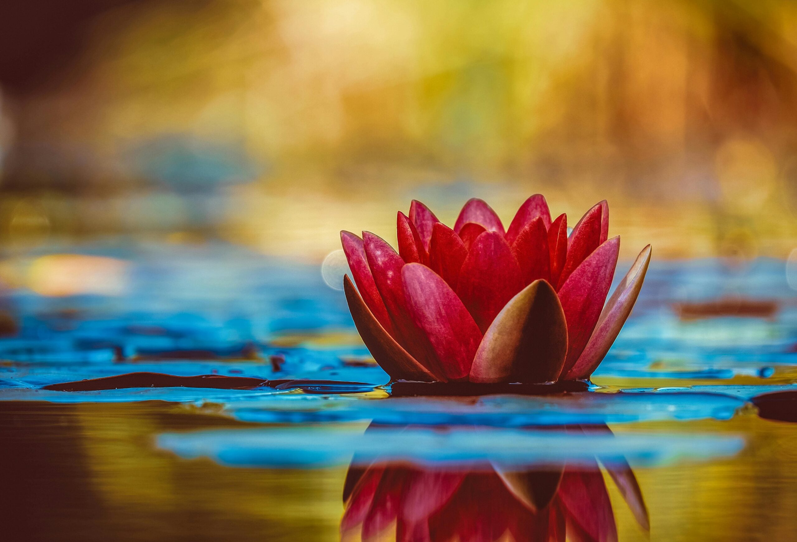 The Magical Power of Kirtan: My Experience with Mantras and Music