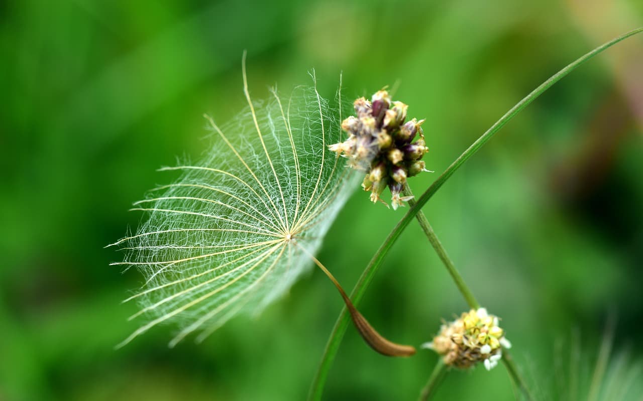 Being an Empath: A Gift But Also a Challenge