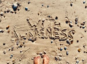 with-Awareness-scaled