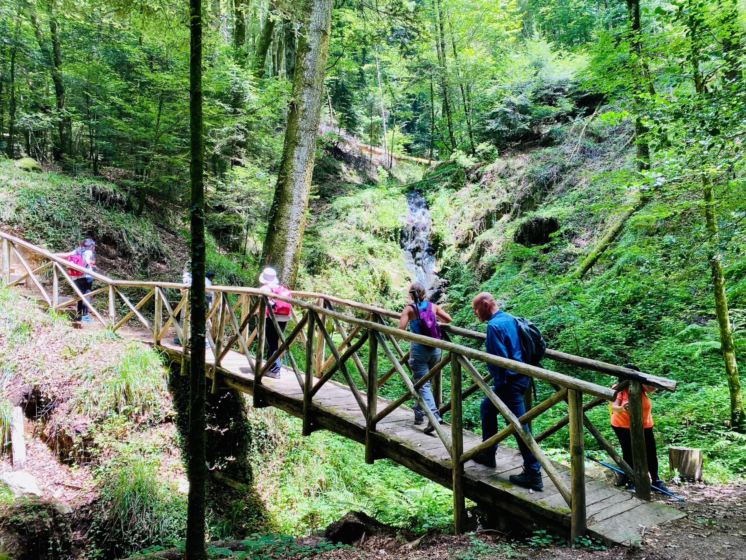 Ritiro di Bagno di Foresta & Trekking, Parco delle Serre, Calabria, Italia