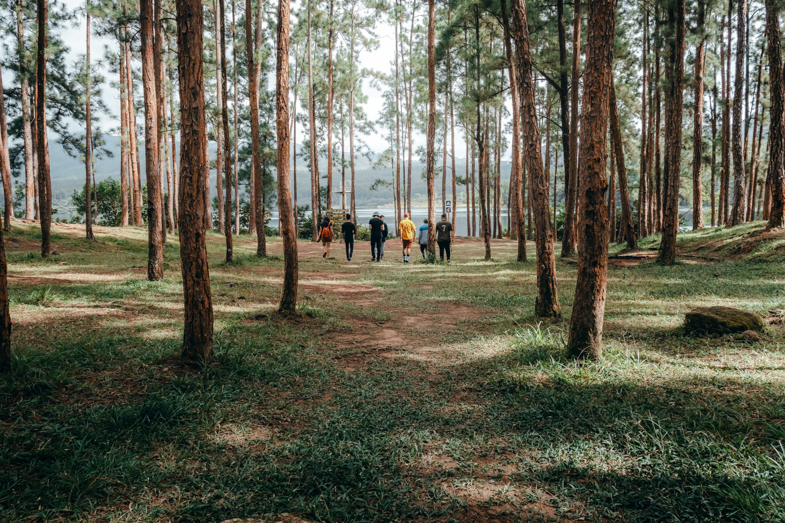 “Connessioni”: Trekking Olistico in Sila Grande, Calabria